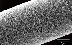 Carbon Nanotube Technology (Namd)