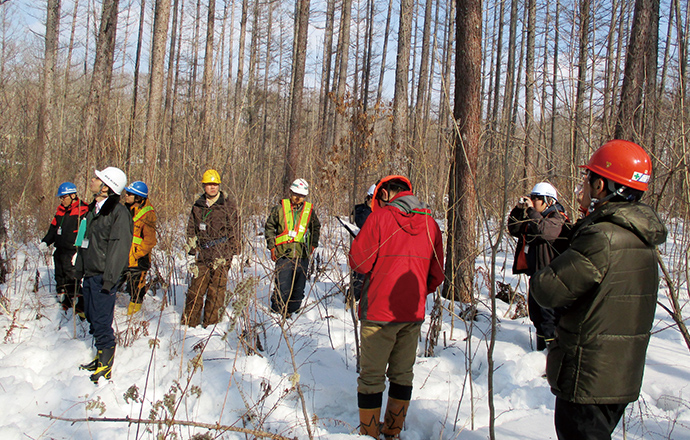 Provision of a location for study by young forestry workers