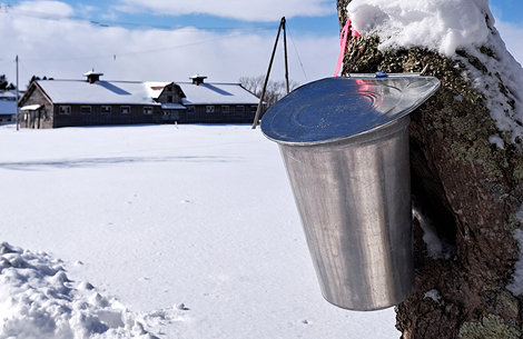 バケツと小型濃縮器を用いた完全手作業