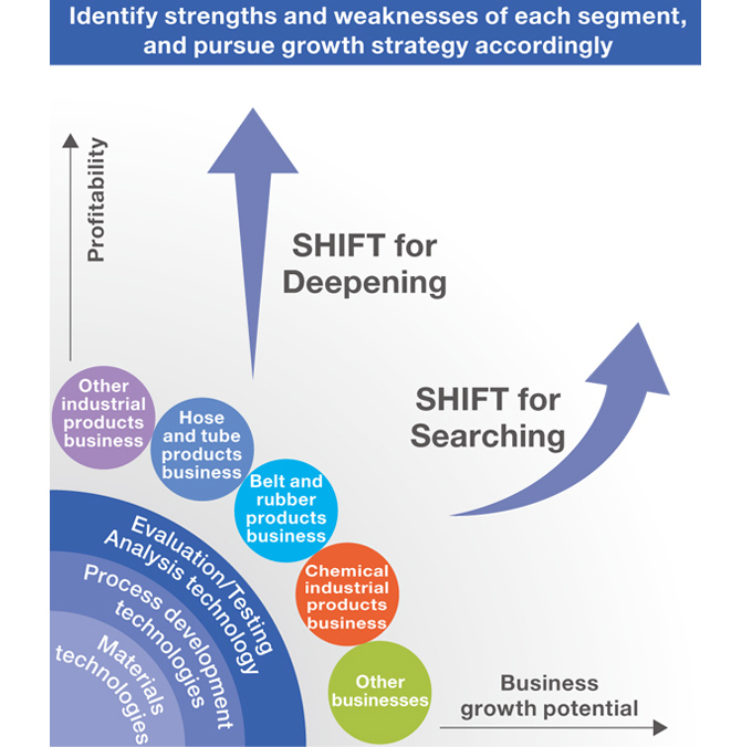 Business portfolio strategy promotion chart